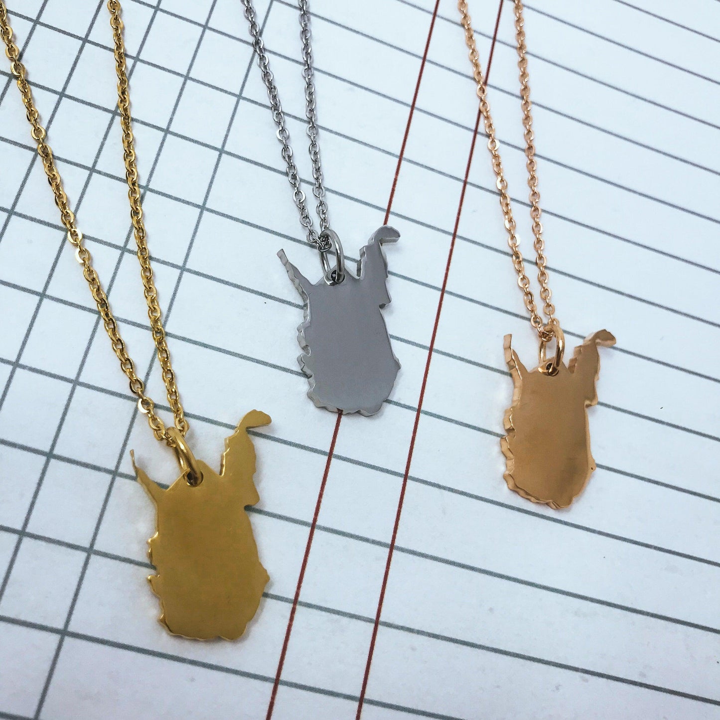 West Virginia State Silhouette Necklaces in 3 different colors: Gold, Silver & Rose Gold